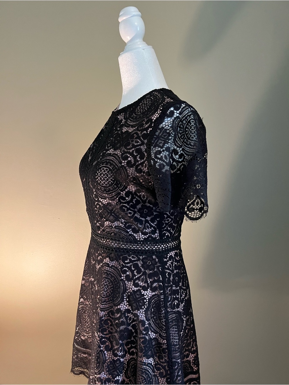 BB Dakota Black‎ Lace Short Sleeve Fit & Flare Mini Dress - Picture 4 of 5